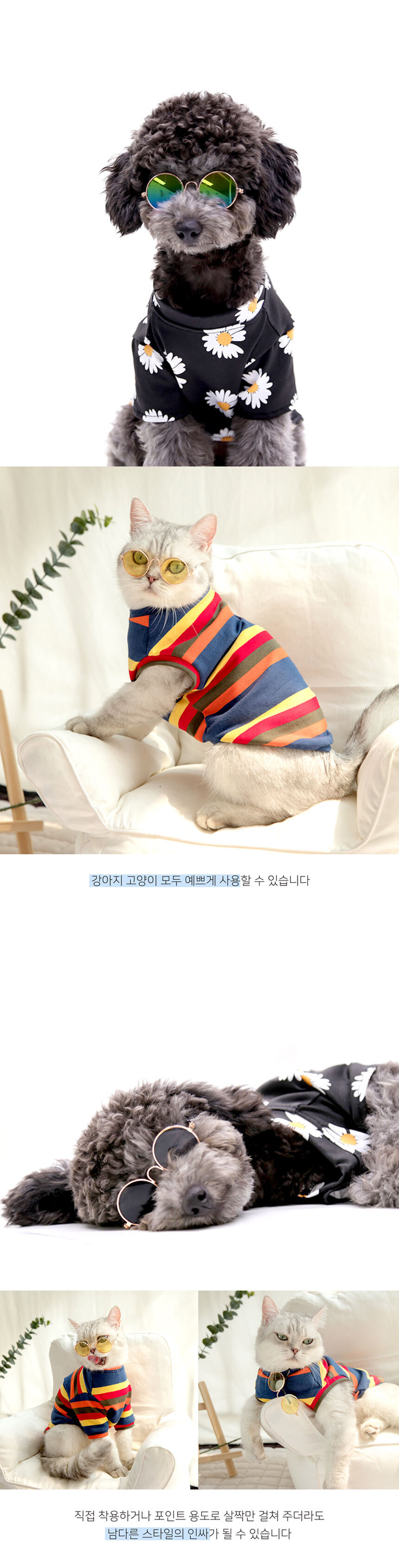 선글라스 안경 썬구리 눈보호 강아지선글라스 애견안경 상세 이미지 4